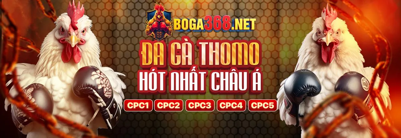Hình ảnh chính về okchoi link mới, thể hiện sự an toàn và hiệu quả trong giải trí trực tuyến