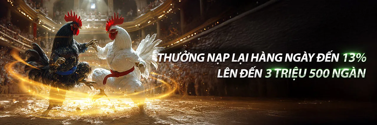 Giao diện ứng dụng okchoi link mới trên điện thoại di động với các trò chơi cá cược sôi động