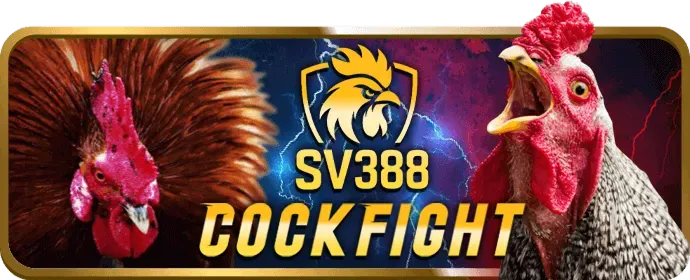 Cách tham gia VIP okchoi link mới