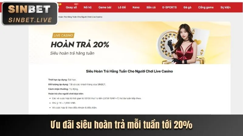 Tổng quan về sòng bạc okchoi link mới